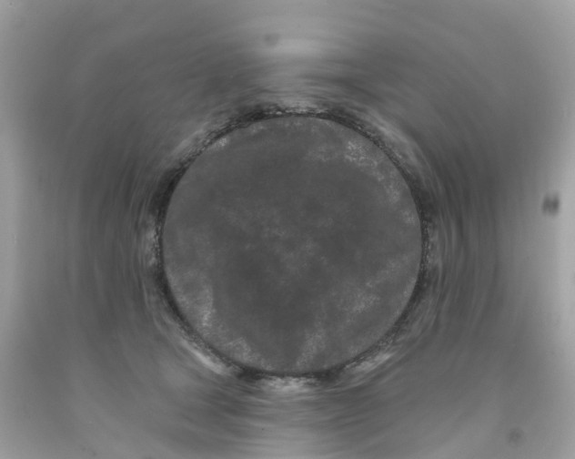 X0000091090465200709041306