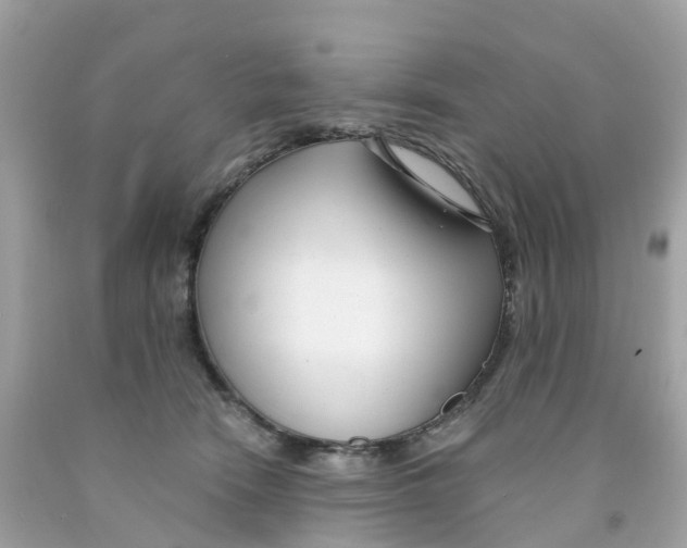 X0000091090466200709041306