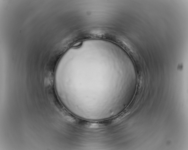 X0000091090467200709041306