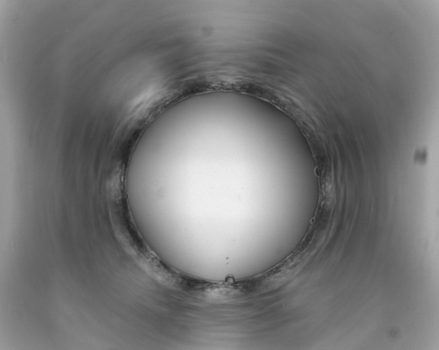X0000091090468200709041306