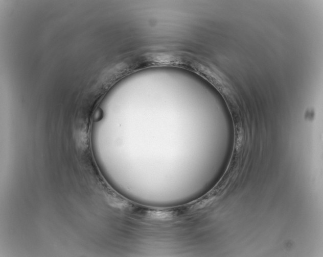 X0000091090469200709041306