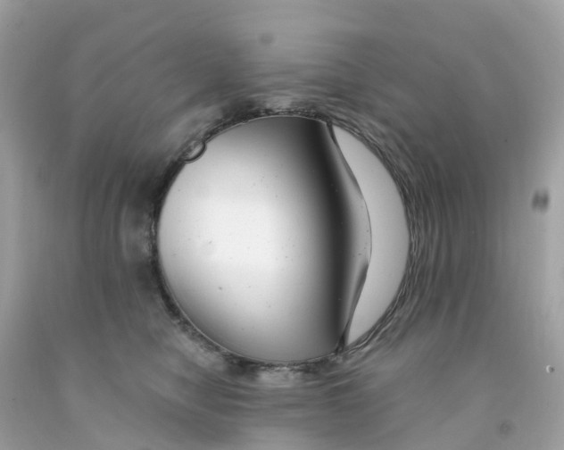 X0000091090470200709041306