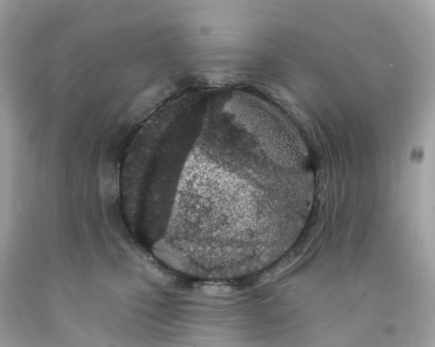 X0000091090471200709041306