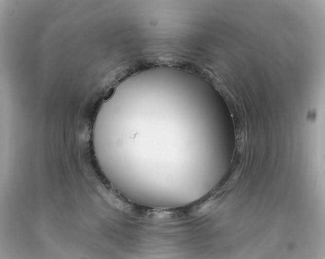 X0000091090472200709041306
