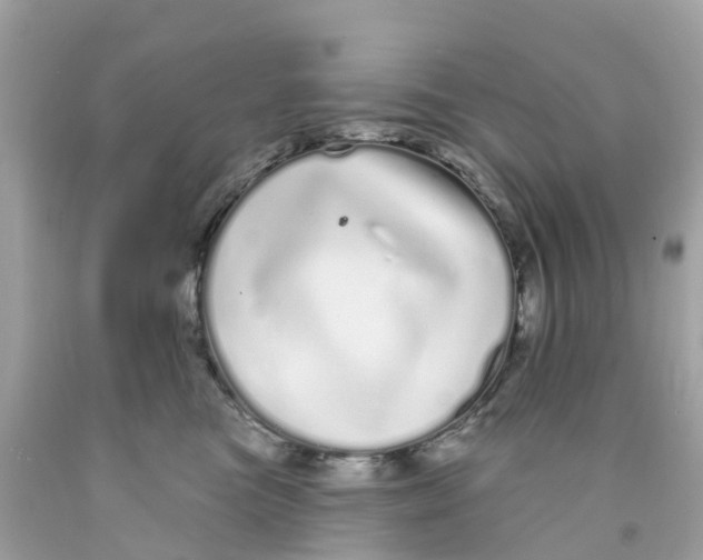 X0000091090473200709041306