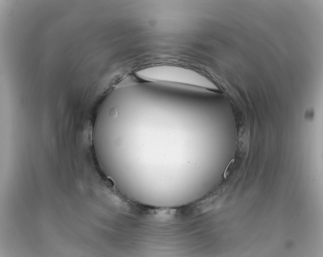 X0000091090474200709041306