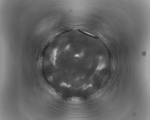 X0000091090475200709041306