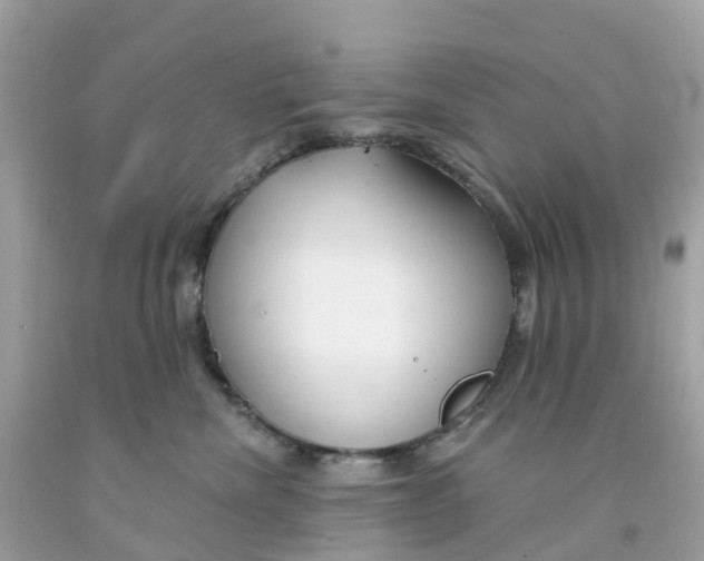 X0000091090476200709041306