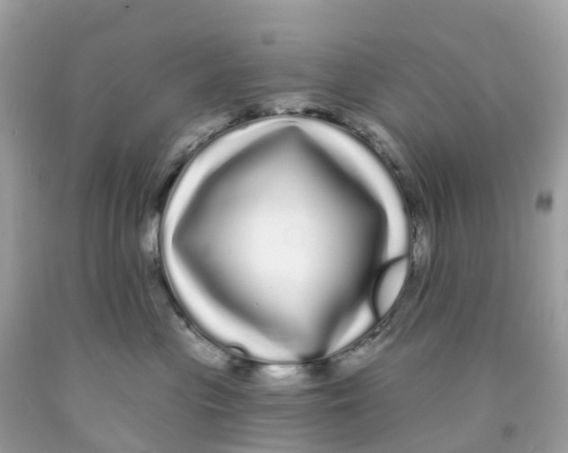 X0000091090477200709041306