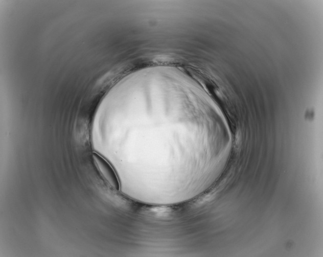 X0000091090478200709041306