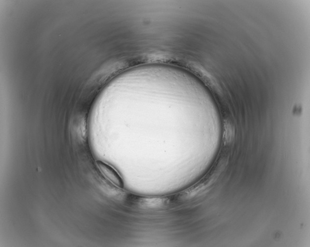 X0000091090479200709041306