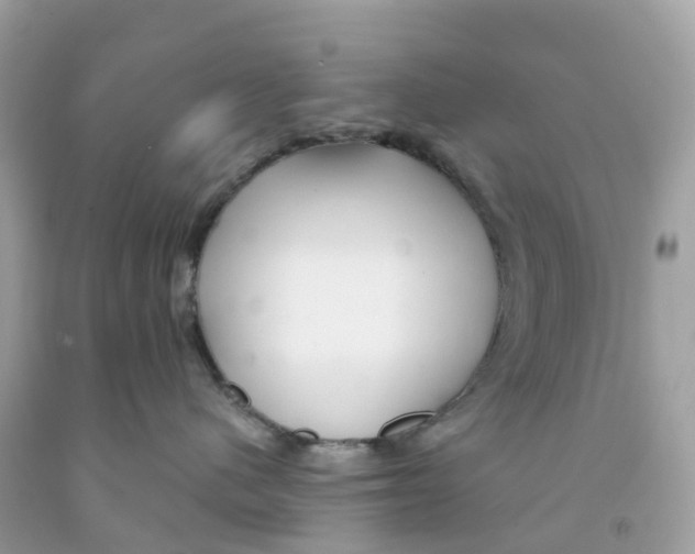 X0000091090480200709041306