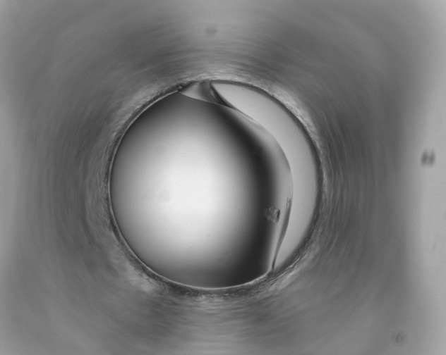 X0000091090481200709041305