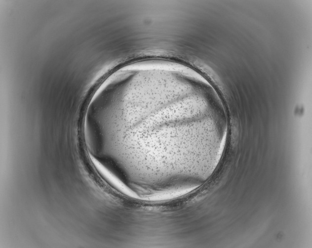 X0000091090482200709041305
