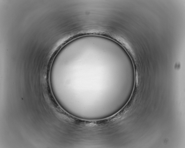 X0000091090483200709041305
