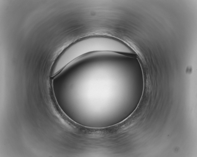 X0000091090485200709041305