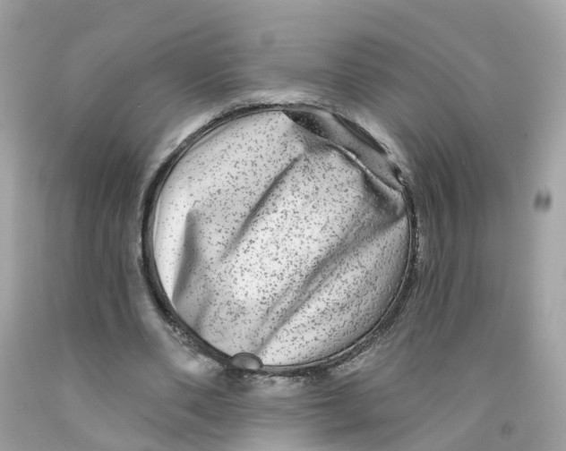 X0000091090486200709041305