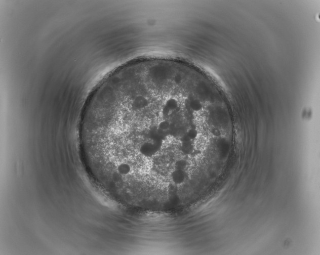 X0000091090487200709041305