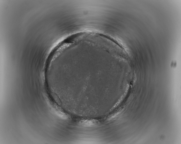X0000091090488200709041305