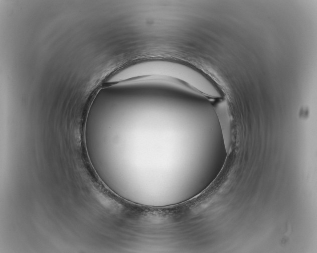 X0000091090489200709041305