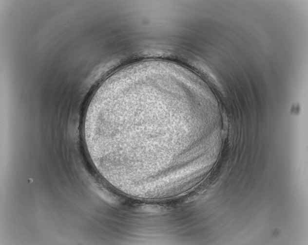 X0000091090490200709041305