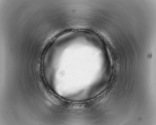 X0000091090491200709041305