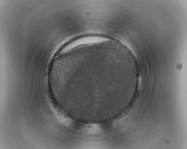 X0000091090492200709041305