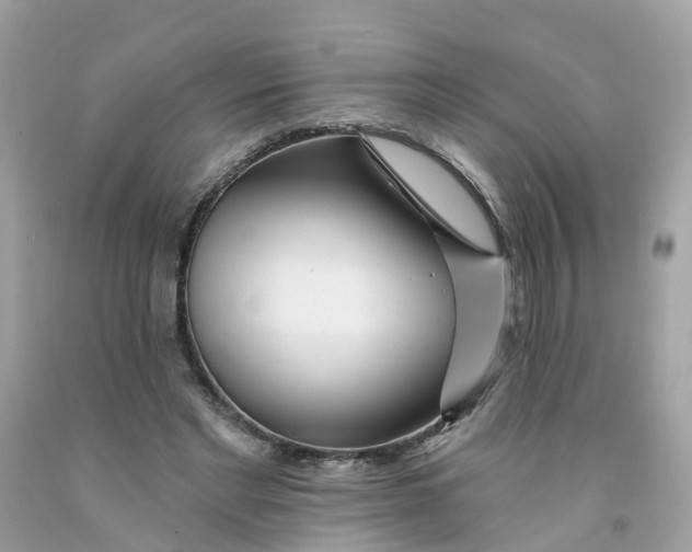 X0000091090493200709041305