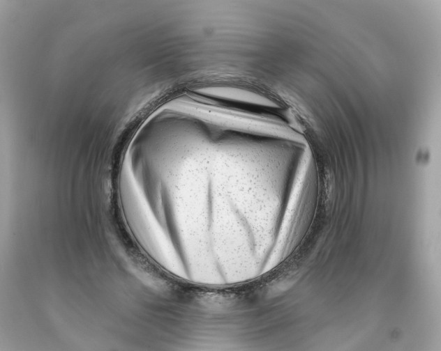 X0000091090494200709041305