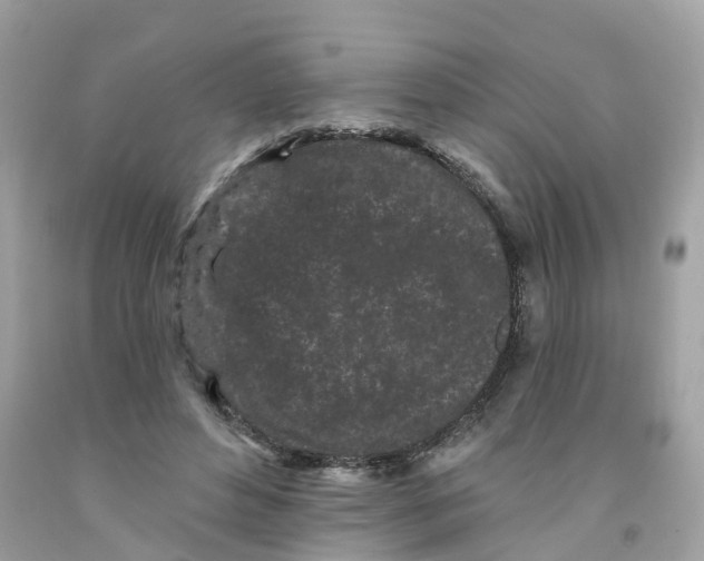 X0000091090496200709041305