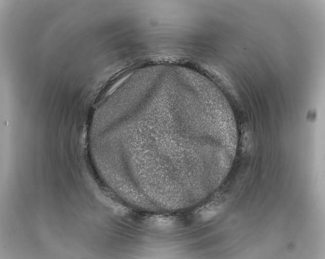 X0000091090498200709041305