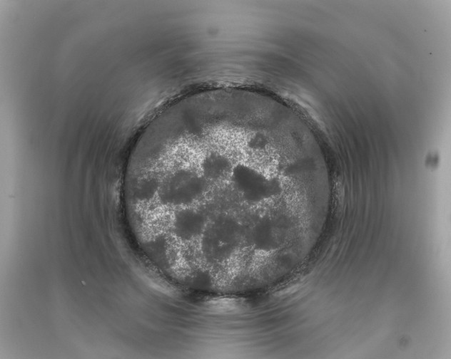 X0000091090499200709041305