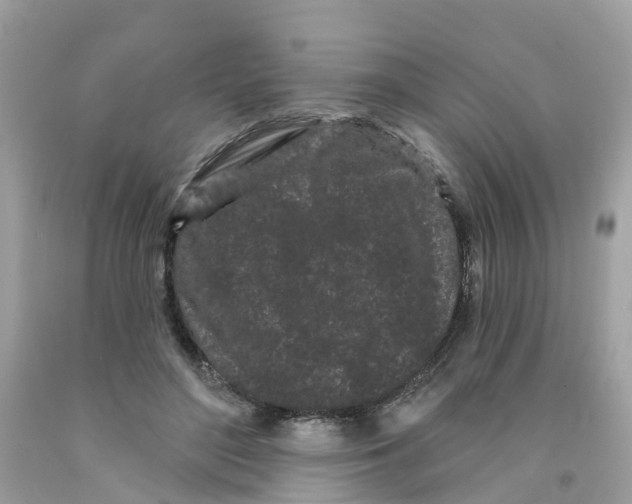 X0000091090500200709041305