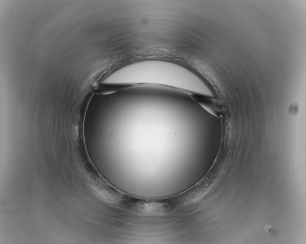 X0000091090501200709041305