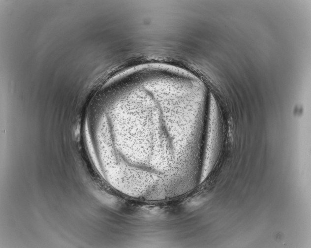 X0000091090502200709041305