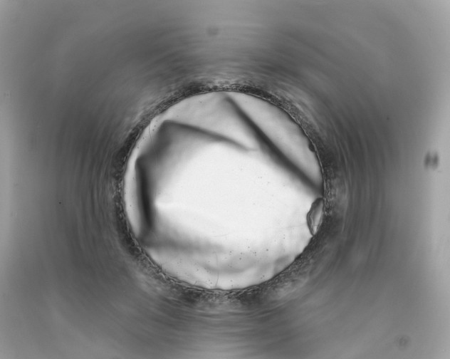 X0000091090503200709041305