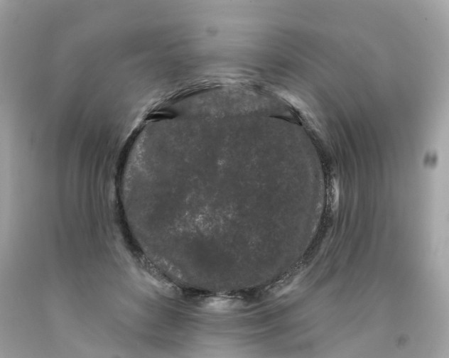 X0000091090504200709041305