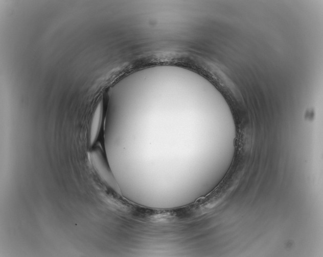 X0000091090505200709041305