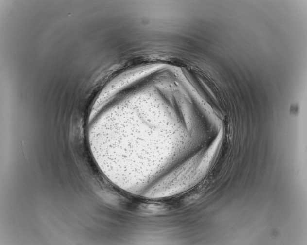 X0000091090506200709041305