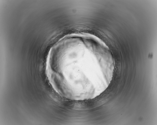 X0000091090507200709041305