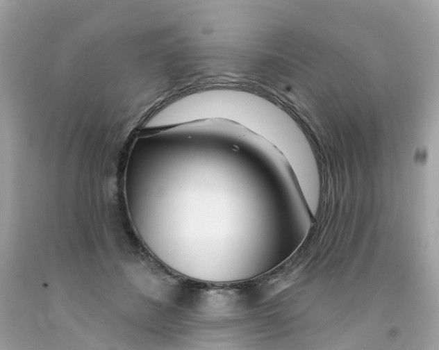 X0000091090508200709041305
