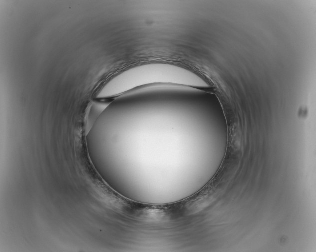 X0000091090509200709041305