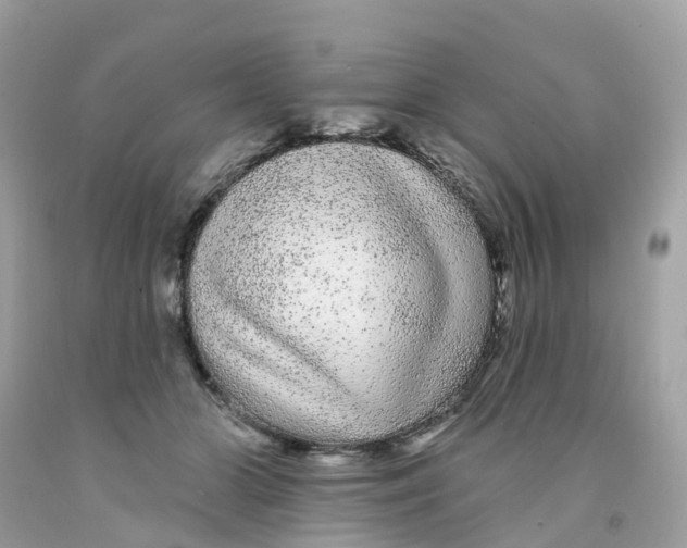 X0000091090510200709041305