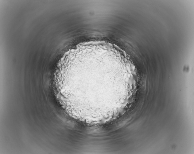 X0000091090511200709041305