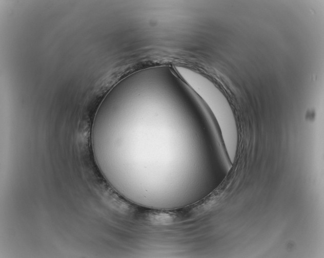 X0000091090513200709041305
