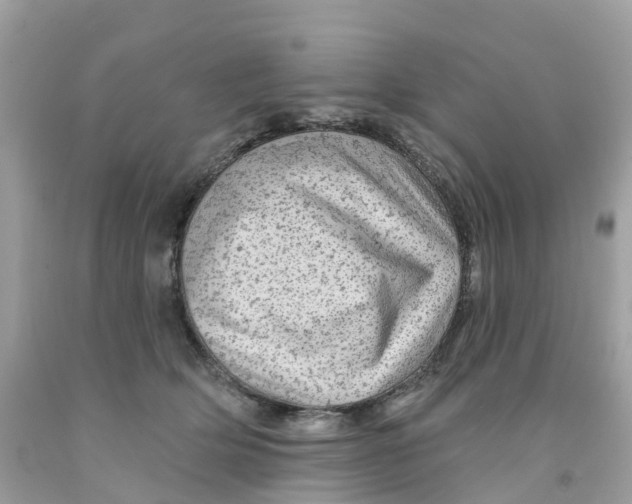 X0000091090514200709041305