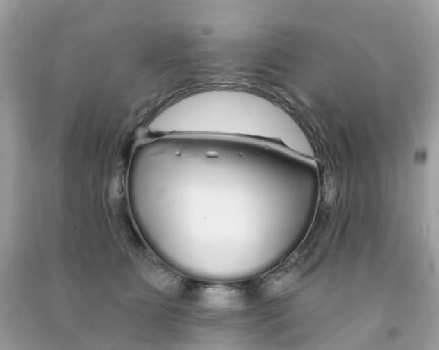 X0000091090515200709041305