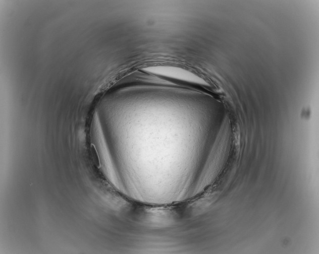 X0000091090516200709041305