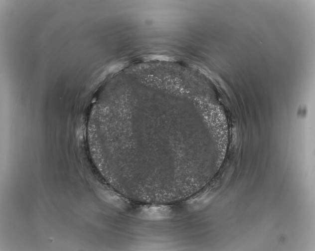X0000091090517200709041305