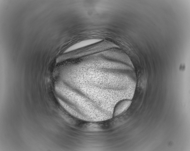 X0000091090518200709041305